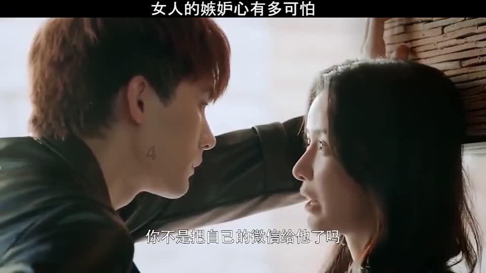 “冷知识分享平台有哪些适合狗狗用的夏日清凉的平价好物推荐?,揭秘科学、历史、文化等干货!”